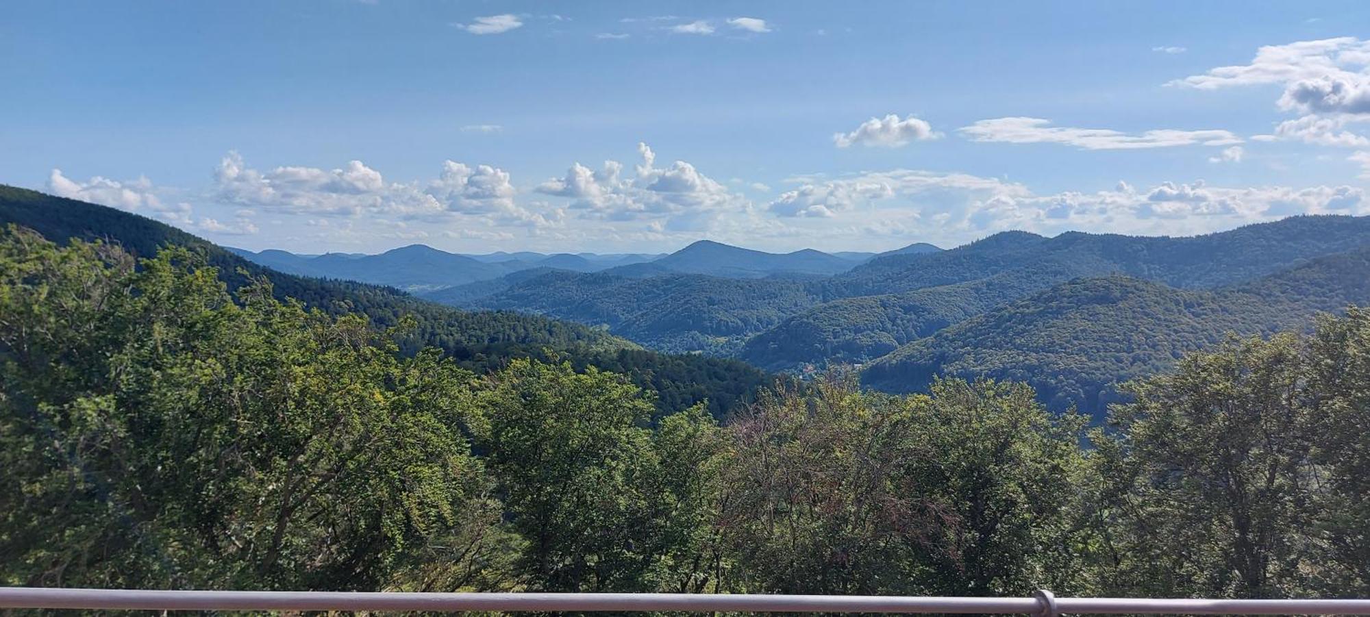 Ferienwohnung Waldliebe Hinterweidenthal Екстер'єр фото