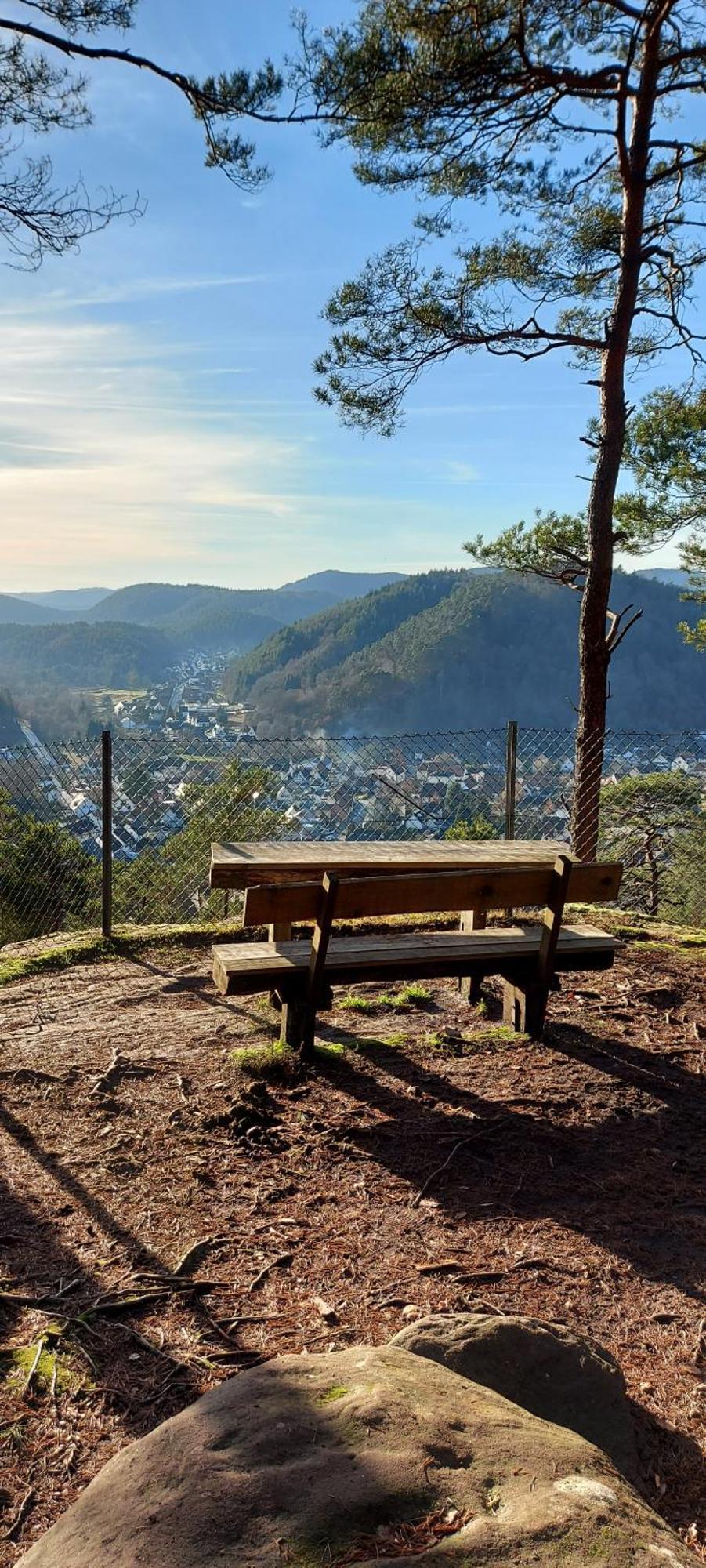 Ferienwohnung Waldliebe Hinterweidenthal Екстер'єр фото